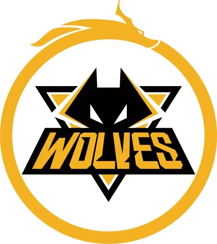 iG赛后群访：Mole浅谈塞拉斯 称皇冠还是比推推棒好些