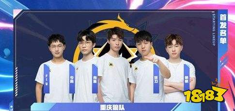 G2与 3DMAX 的比赛预测与分析；在2024年完美世界上海Major：欧洲RMR B